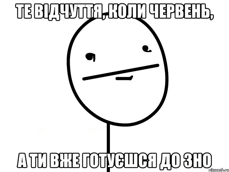 Те відчуття, коли червень, а ти вже готуєшся до ЗНО, Мем Покерфэйс