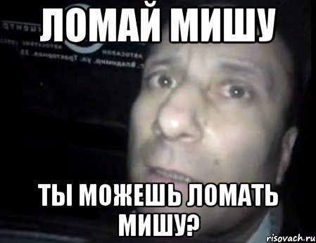 Ломай Мишу Ты можешь ломать Мишу?, Мем Ломай меня полностью