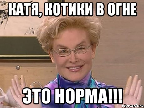 Катя, КОТИКИ В ОГНЕ ЭТО НОРМА!!!, Мем Елена Малышева