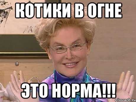 КОТИКИ в ОГНЕ ЭТО НОРМА!!!, Мем Елена Малышева