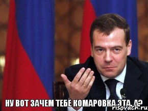 Ну вот зачем тебе Комаровка эта, а?