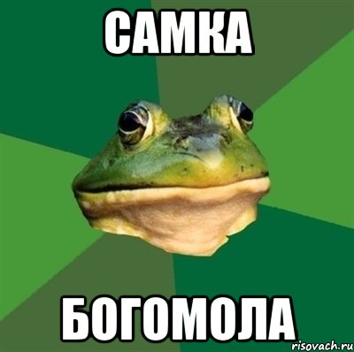 самка богомола