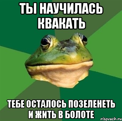 Ты научилась квакать тебе осталось позеленеть и жить в болоте, Мем  Мерзкая жаба