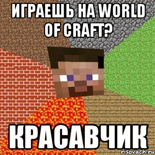 Играешь на World of Craft? Красавчик, Мем Миникрафтер