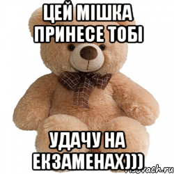 Цей Мішка принесе тобі Удачу на екзаменах))), Мем Мишка