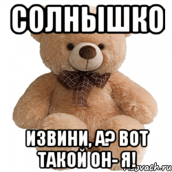 Солнышко Извини, а? Вот такой он- Я!, Мем Мишка