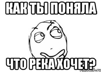 как ты поняла что река хочет?, Мем Мне кажется или