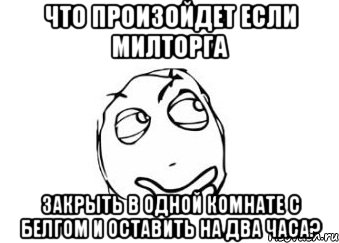 что произойдет если милторга закрыть в одной комнате с белгом и оставить на два часа?, Мем Мне кажется или