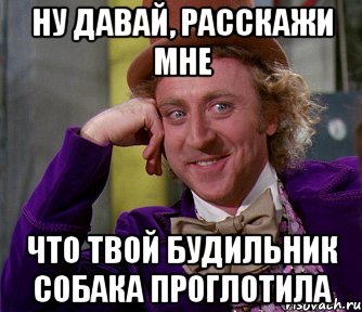 ну давай, расскажи мне что твой будильник собака проглотила, Мем мое лицо