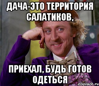 Дача-это территория салатиков, приехал, будь готов одеться, Мем мое лицо