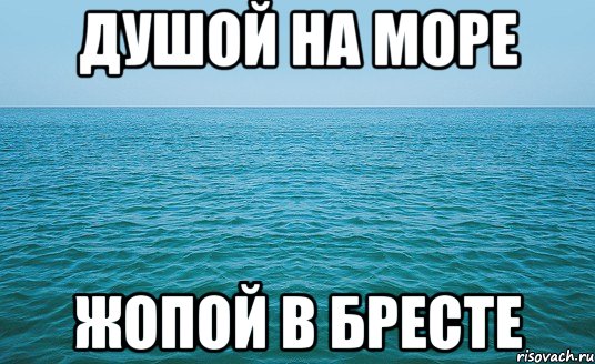 Душой на море Жопой в Бресте