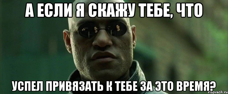 а если я скажу тебе, что успел привязать к тебе за это время?, Мем  морфеус