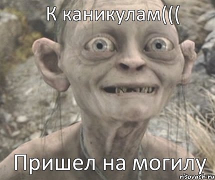 Пришел на могилу К каникулам(((