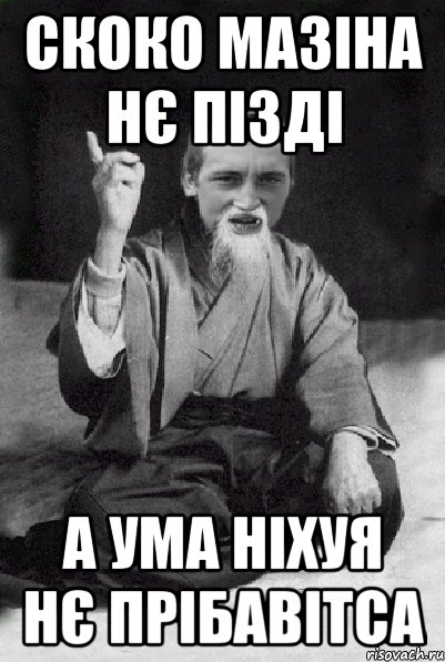 скоко мазіна нє пізді а ума ніхуя нє прібавітса, Мем Мудрий паца