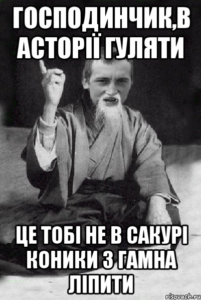 Господинчик,в Асторії гуляти це тобі не в Сакурі коники з гамна ліпити, Мем Мудрий паца