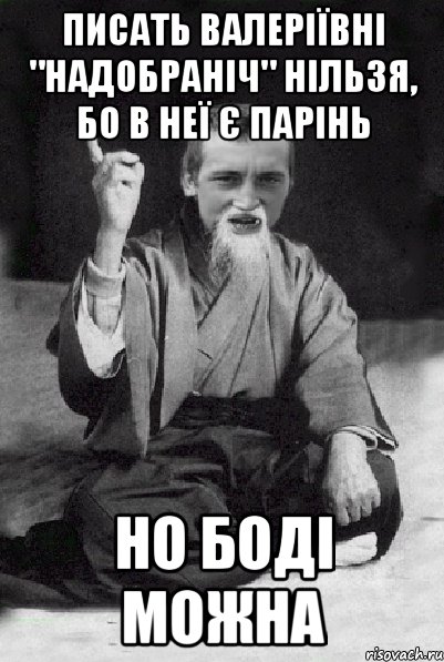 Писать Валеріївні "надобраніч" нільзя, бо в неї є парінь Но Боді можна, Мем Мудрий паца