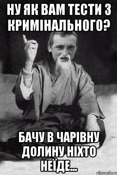 ну як вам тести з кримінального? бачу в чарівну долину ніхто неїде..., Мем Мудрий паца