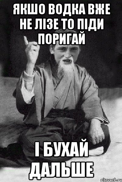 Якшо водка вже не лізе то піди поригай і бухай дальше, Мем Мудрий паца