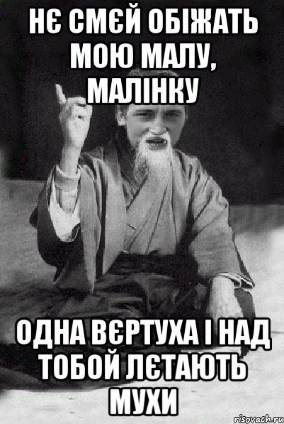 нє смєй обіжать мою малу, малінку одна вєртуха і над тобой лєтають мухи, Мем Мудрий паца