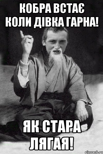 кобра встає коли дівка гарна! як стара лягая!, Мем Мудрий паца