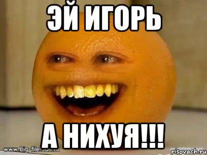 эй игорь а нихуя!!!, Мем Надоедливый апельсин