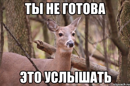 ты не готова это услышать