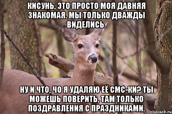 Кисунь, это просто моя давняя знакомая. Мы только дважды виделись. Ну и что, чо я удаляю её смс-ки? Ты можешь поверить, там только поздравления с праздниками.