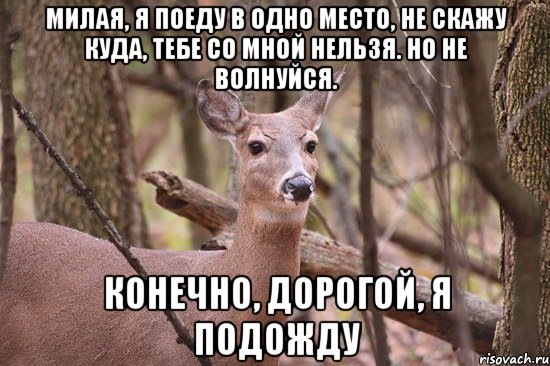 Милая, я поеду в одно место, не скажу куда, тебе со мной нельзя. Но не волнуйся. Конечно, дорогой, я подожду, Мем Наивная олениха