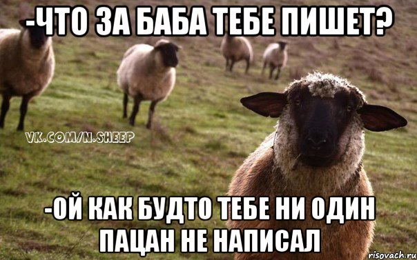 -ЧТО ЗА БАБА ТЕБЕ ПИШЕТ? -ОЙ КАК БУДТО ТЕБЕ НИ ОДИН ПАЦАН НЕ НАПИСАЛ, Мем  Наивная Овца