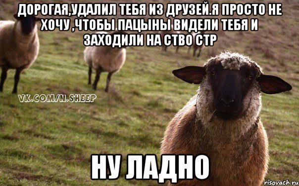 Дорогая,удалил тебя из друзей.Я просто не хочу ,чтобы пацыны видели тебя и заходили на ство стр ну ладно, Мем  Наивная Овца