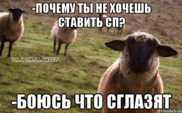 -Почему ты не хочешь ставить СП? -Боюсь что сглазят, Мем  Наивная Овца