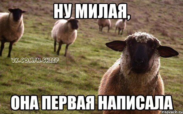 ну милая, она первая написала, Мем  Наивная Овца