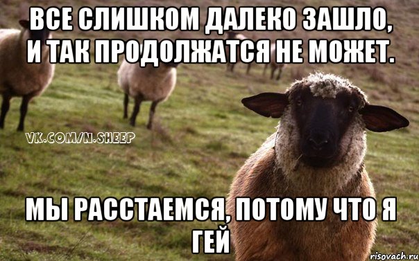 Все слишком далеко зашло, и так продолжатся не может. Мы расстаемся, потому что я гей, Мем  Наивная Овца