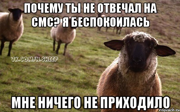 Почему ты не отвечал на смс? Я беспокоилась Мне ничего не приходило, Мем  Наивная Овца