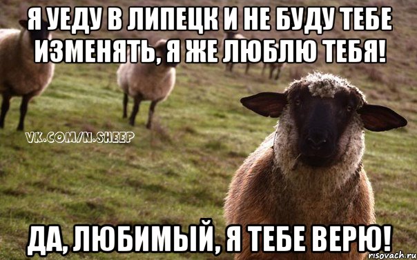 я уеду в Липецк и не буду тебе изменять, я же люблю тебя! Да, любимый, я тебе верю!, Мем  Наивная Овца