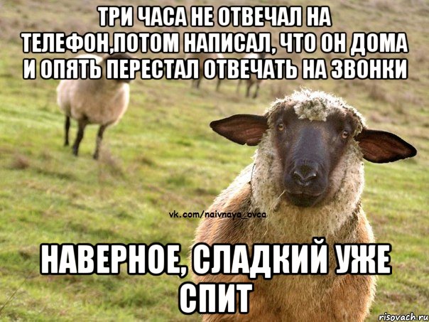 три часа не отвечал на телефон,потом написал, что он дома и опять перестал отвечать на звонки наверное, сладкий уже спит, Мем  Наивная Овца