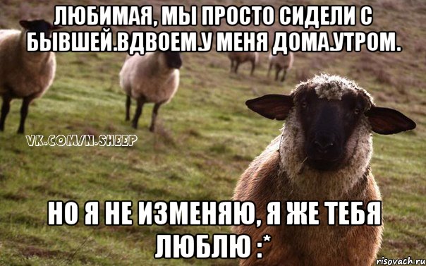 Любимая, мы просто сидели с бывшей.Вдвоем.У меня дома.Утром. но я не изменяю, я же тебя люблю :*, Мем  Наивная Овца