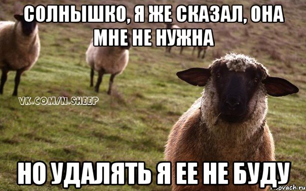 солнышко, я же сказал, она мне не нужна но удалять я ее не буду, Мем  Наивная Овца