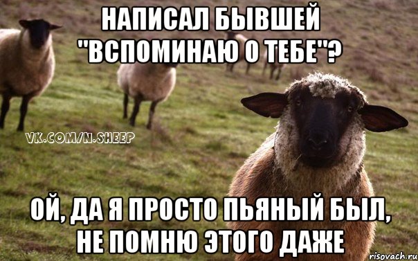 написал бывшей "вспоминаю о тебе"? ой, да я просто пьяный был, не помню этого даже, Мем  Наивная Овца