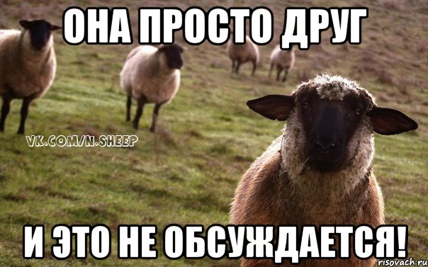 она просто друг и это не обсуждается!, Мем  Наивная Овца