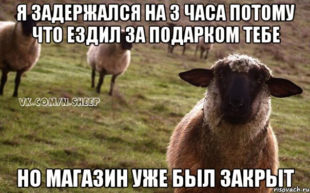 я задержался на 3 часа потому что ездил за подарком тебе но магазин уже был закрыт, Мем  Наивная Овца