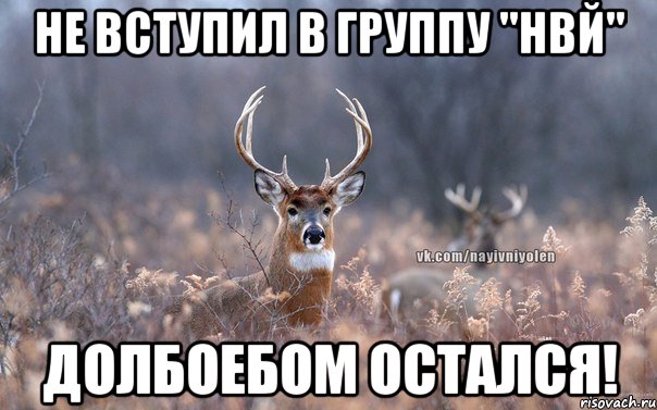 Не вступил в группу "НВЙ" Долбоебом остался!, Мем   Наивный олень