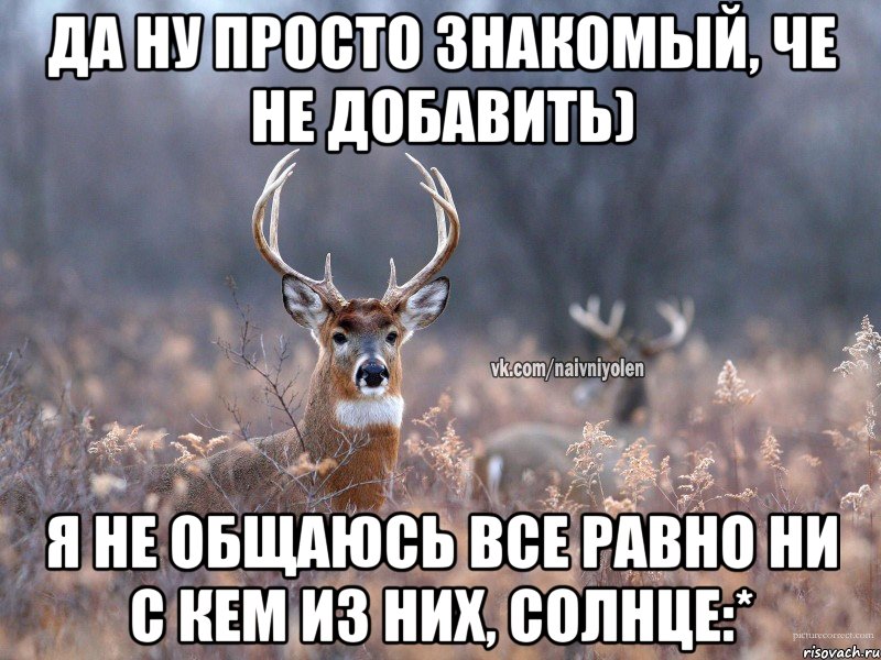 Да ну просто знакомый, че не добавить) я не общаюсь все равно ни с кем из них, солнце:*, Мем   Наивный олень