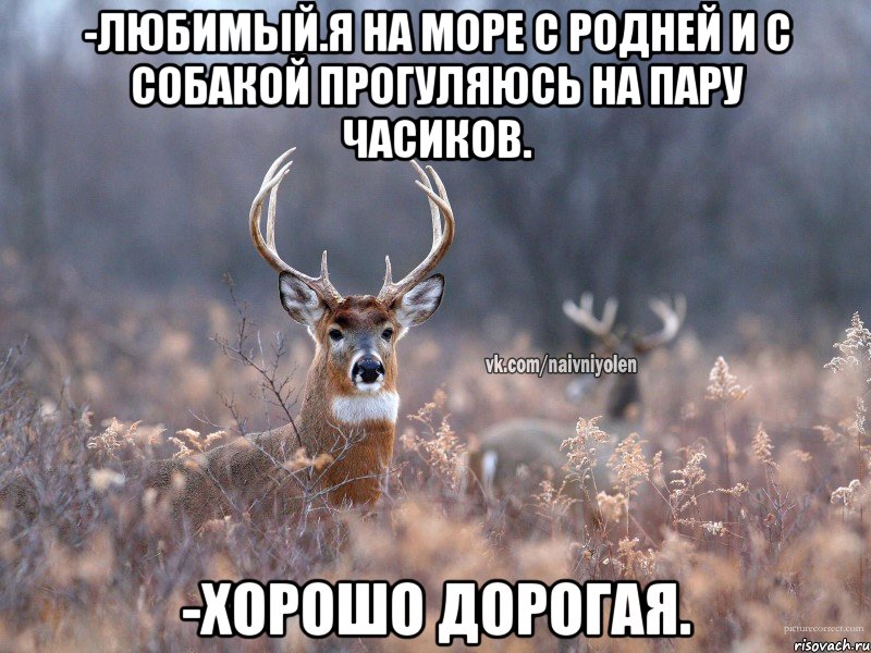 -Любимый.Я на море с родней и с собакой прогуляюсь на пару часиков. -Хорошо дорогая., Мем   Наивный олень