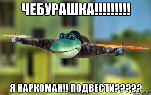 чебурашка!!!!!!!!! я наркоман!! подвести?????, Мем  Наркоман штоле