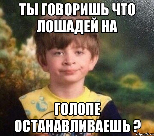 Ты говоришь что лошадей на Голопе останавливаешь ?