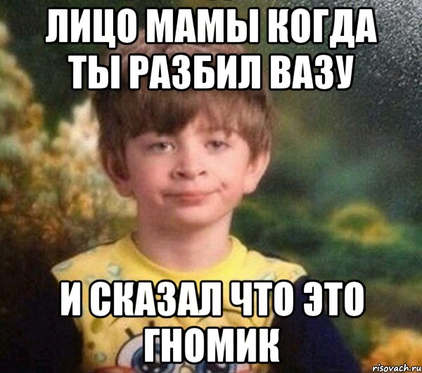 Лицо мамы когда ты разбил вазу И сказал что это гномик, Мем Недовольный пацан