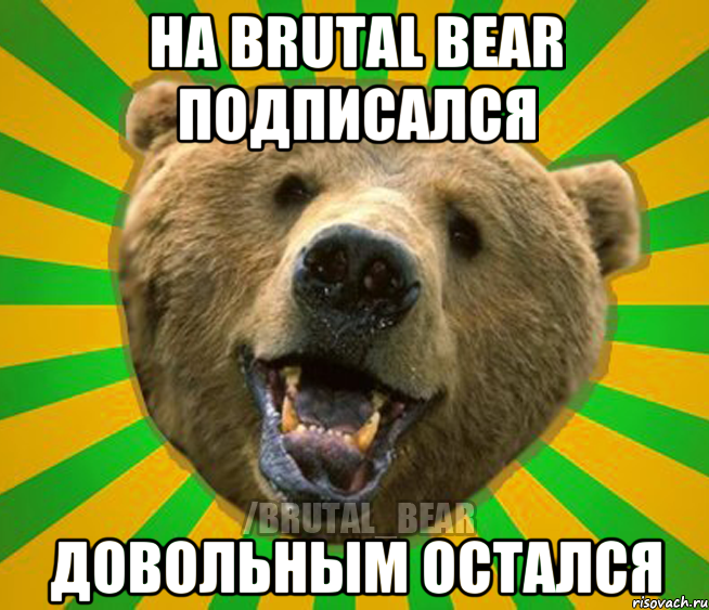 НА BRUTAL BEAR ПОДПИСАЛСЯ ДОВОЛЬНЫМ ОСТАЛСЯ