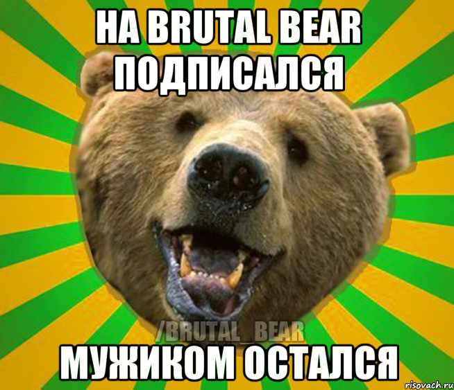 На BRUTAL BEAR подписался мужиком остался, Мем Нелепый медведь