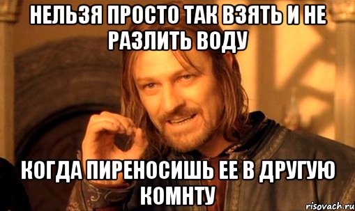 Нельзя просто так взять и не разлить воду когда пиреносишь ее в другую комнту, Мем Нельзя просто так взять и (Боромир мем)